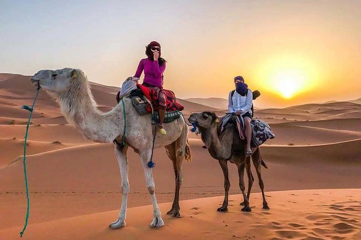 Camel Trekking