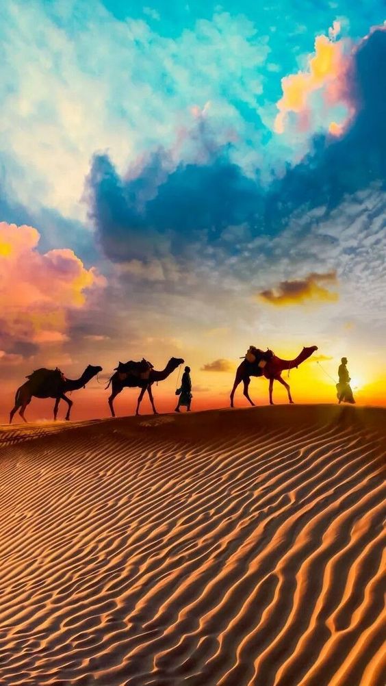 desert